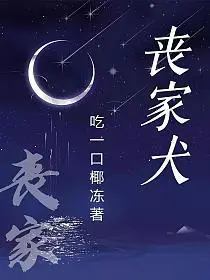 丧家犬封面